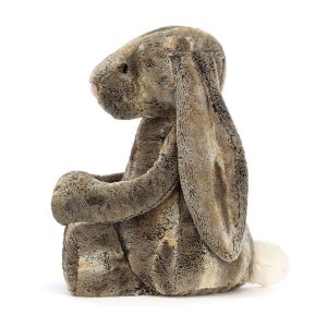 Bashful Cottontail Bunny
